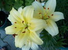 DSCN0729[1]