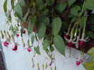 DSCN0750[1]