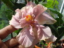 DSC06041