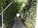 DSCN2840