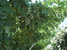 DSCN2841