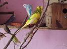 DSCN2844