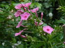 DSCN2263