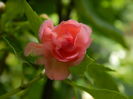 DSCN2298