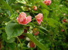 DSCN2299