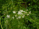 DSCN2301