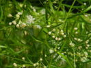 DSCN2303
