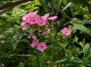 DSCN2304