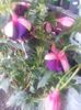 20160715_115123