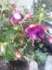 20160715_115101