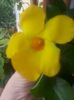20160715_114920