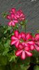 WP_20160715_10_29_58_Pro