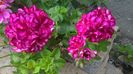 WP_20160715_10_29_40_Pro