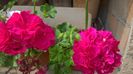 WP_20160715_10_29_48_Pro