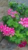 WP_20160715_10_29_26_Pro