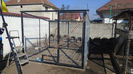 padoc pentru caine 2 (5)