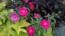 WP_20160715_087