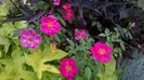 WP_20160715_088