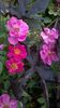 WP_20160715_089