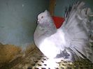 IMG_20160714_221652