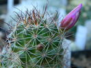 DSCN7625