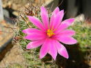 DSCN7639