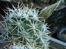 DSCN7627