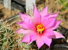 DSCN7633