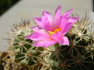 DSCN7643