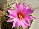 DSCN7650