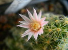 DSCN7310