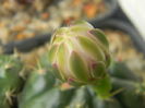DSCN7330