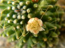 DSCN7363