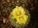DSCN7462
