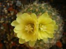 DSCN7467