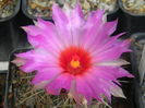 DSCN7484