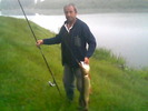 stiuca din Suta