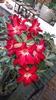 20160714_143936