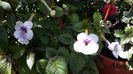 20160714_144119