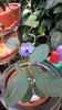 20160714_144039