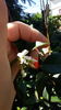 20160712_164019