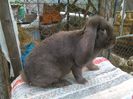 IMG_20160716_105328