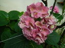 DSCN2419