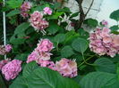DSCN2421