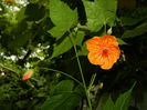 DSCN2751
