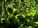 DSCN2834
