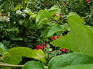 DSCN2977