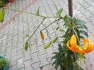 DSCN0760[1]