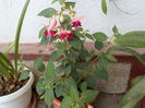 DSCN0769[1]
