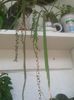 20160709_092737